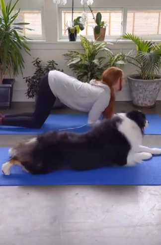  狗狗與女子同步做瑜珈。（圖／翻攝自IG）