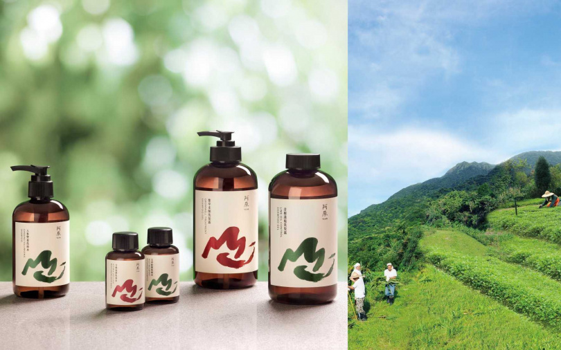 清明連假期間剛好遇上新品上市優惠,像是艾草洗頭水、玫瑰天竺葵洗手慕斯都有折扣,買一件送壓頭、買多還送旅行瓶。(圖/品牌提供)