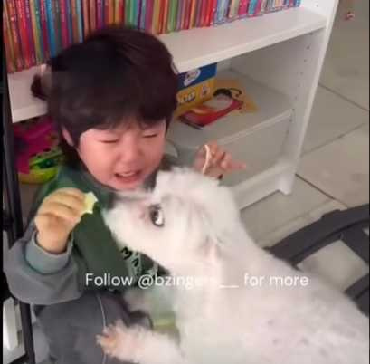 狗狗搶食小主人。（圖／翻攝自臉書）