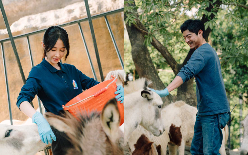 （圖／Disney+提供）