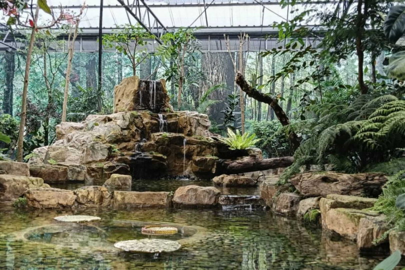 礁溪晶泉丰旅春季三天兩夜專案推出蘭花園生態館體驗，走訪金車礁溪蘭花園附設動植物生態館，探索蘭花展示與雨林綠境。（圖／晶泉丰旅提供）