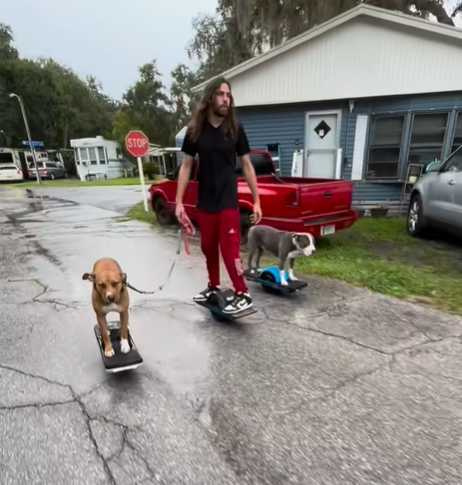 主人帶狗出門一人配一台車。（圖／翻攝自臉書）