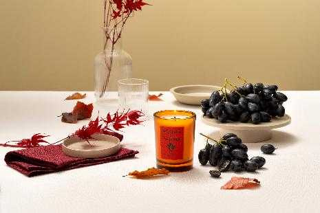 Acqua di Parma Mosto鮮摘葡萄香氛蠟燭 200g / 3,300元（圖／品牌提供）