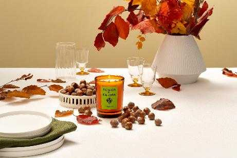 Acqua di Parma Nocciola黃金榛果香氛蠟燭 200g / 3,300元（圖／品牌提供）