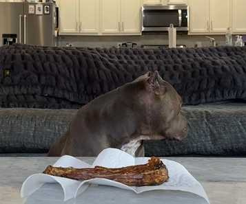 主人拿骨頭測試三隻狗狗的定力。（圖／翻攝自臉書）