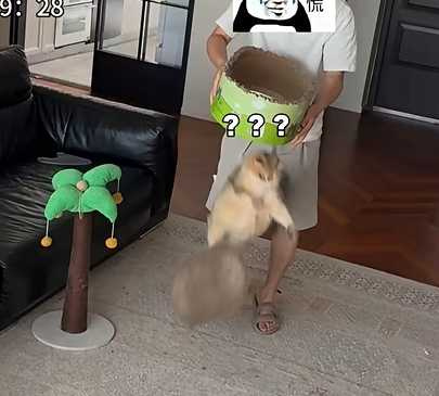 狗狗爽翻天。（圖／翻攝自臉書）