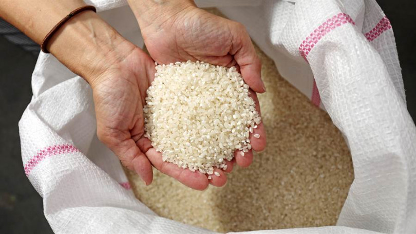 ▲於「綺香園」有機農場實作一條龍碾米、包裝、扛米。（攝影／于魯光）