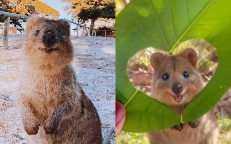 （圖／翻攝自小紅書）