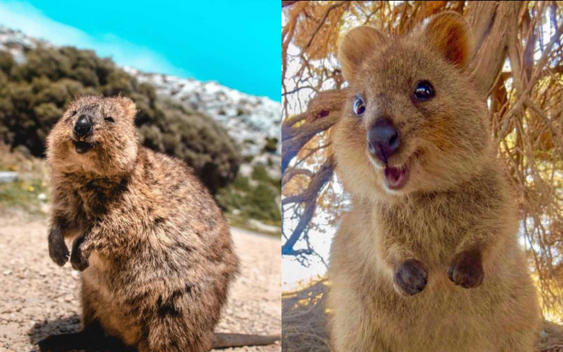 （圖／翻攝自小紅書）