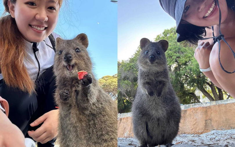 （圖／翻攝自小紅書）