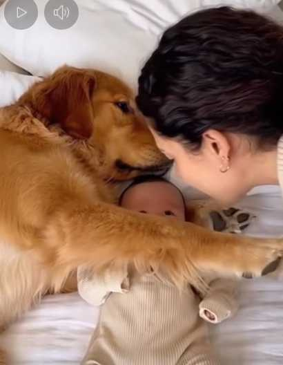 阿金護嬰兒。（圖／翻攝自臉書）