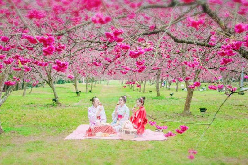 本次雄獅攜手九族文化村，設計獨家「櫻花下午茶」再贈限定款野餐墊。