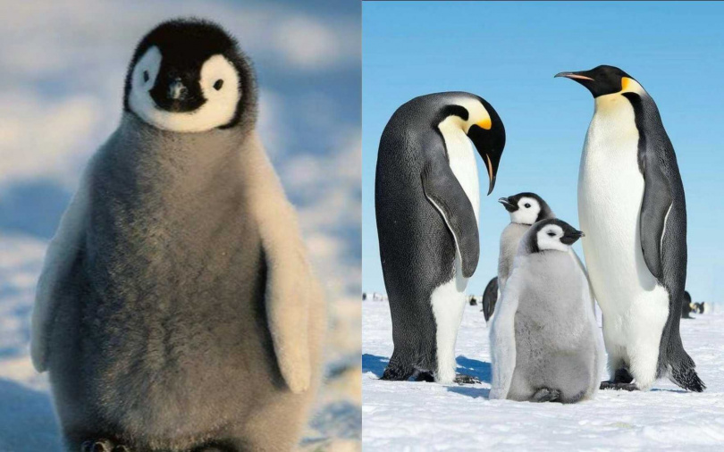 （圖／翻攝自小紅書）