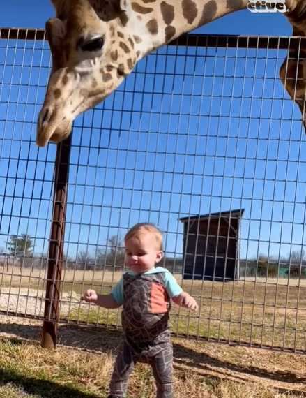 小男孩與長頸鹿互動。（圖／翻攝自臉書）