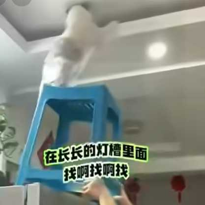 貓咪幫主人拿羽球。(圖/翻攝自臉書)