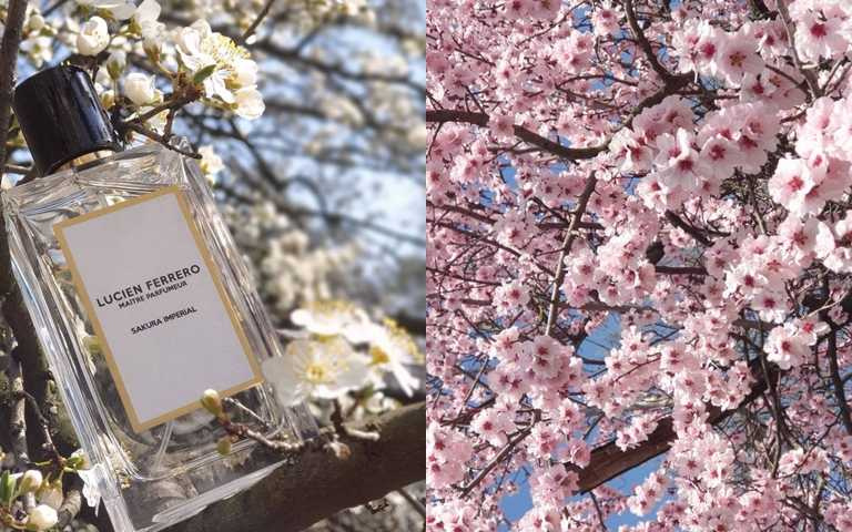   Lucien Ferrero櫻Sakura Imperial 100ml／5,980元  噴上的瞬間就會知道這就是春天的味道！（圖／IG@nicoleta.tomsa）