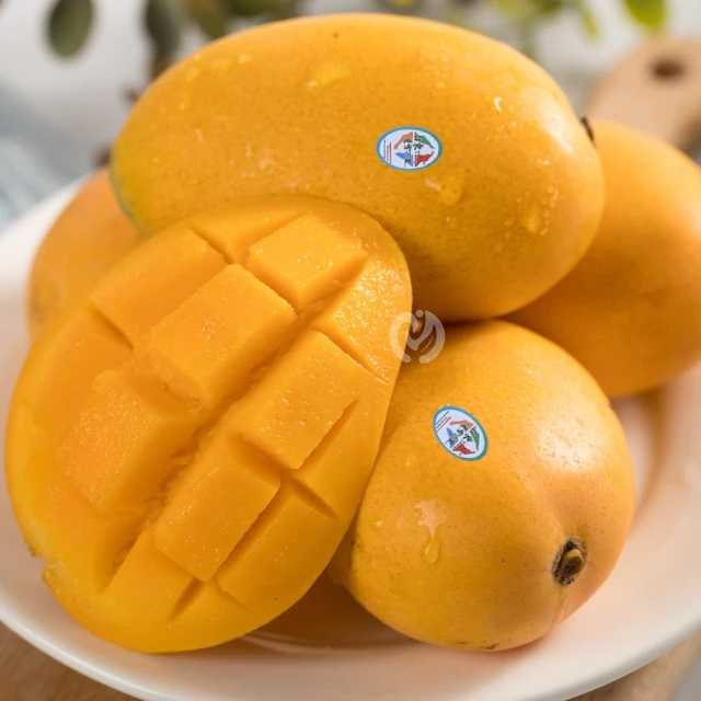 被譽為芒果界LV的「夏雪芒果」，巧妙融合土芒果的香氣、愛文的細緻口感與金煌的香甜風味，吃起來口感綿滑。