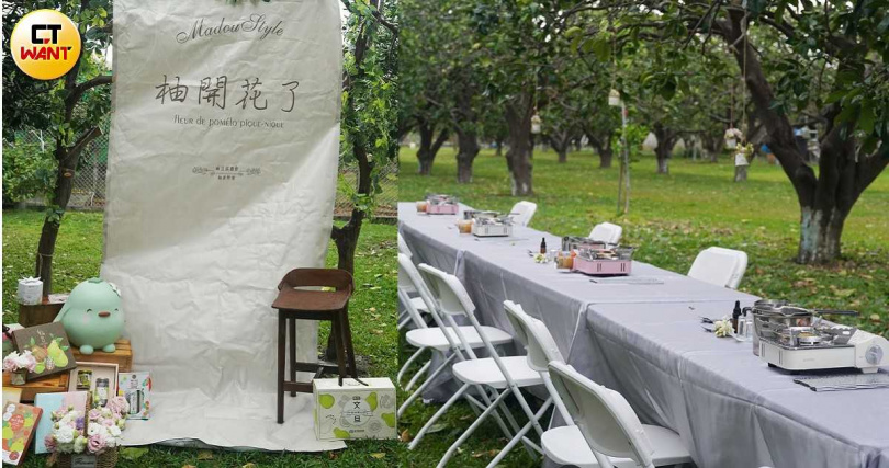 在柚花季期間，麻豆區農會會在柚子園放上春日佈置，遊客可以預約洽詢DIY或樹下用餐體驗。（圖／魏妤靜攝）