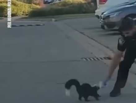 警察幫助臭鼬脫困。（圖／翻攝自臉書）