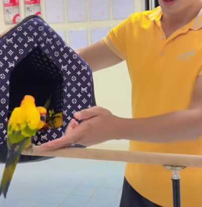 鸚鵡井然有序地回籠。(圖/翻攝自臉書)