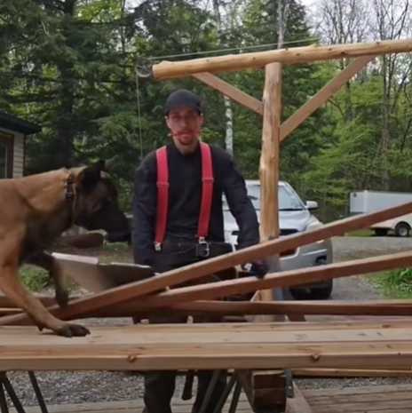 狗狗搗亂。(圖/翻攝自臉書)