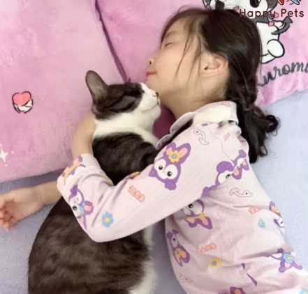 貓咪與人類膩在一塊。(圖/翻攝自臉書)