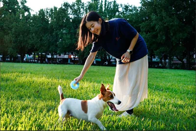 哈醬最喜歡玩球了，而且有喜歡在外面尋寶撿玩具的小怪僻。（圖／廖曉彤提供）