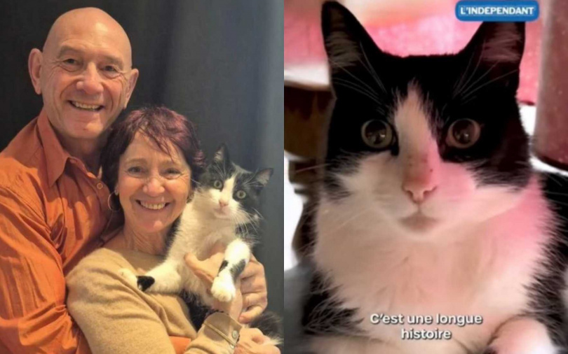 （圖／翻攝自小紅書）