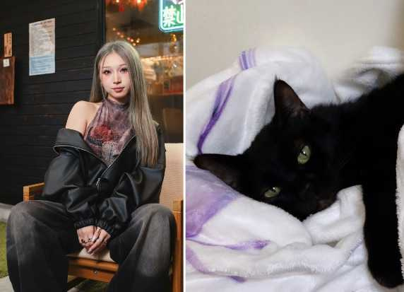 Bling的hedy是貓咪中的大姐大。（圖／經紀人提供）