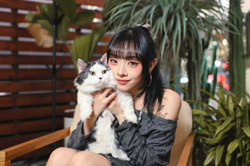 咪嚕曾被前主人退貨，最後被17帶回家。（圖／楊澍、侯世駿攝）