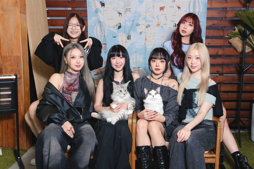 某次出差時，紫月光全員帶著貓咪，被路人誤會是愛貓志工。（圖／楊澍、侯世駿攝）