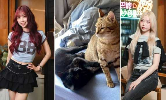 Yia的nineteen（左）與Yuki的小喵是一對男同志情侶。（圖／經紀人提供）