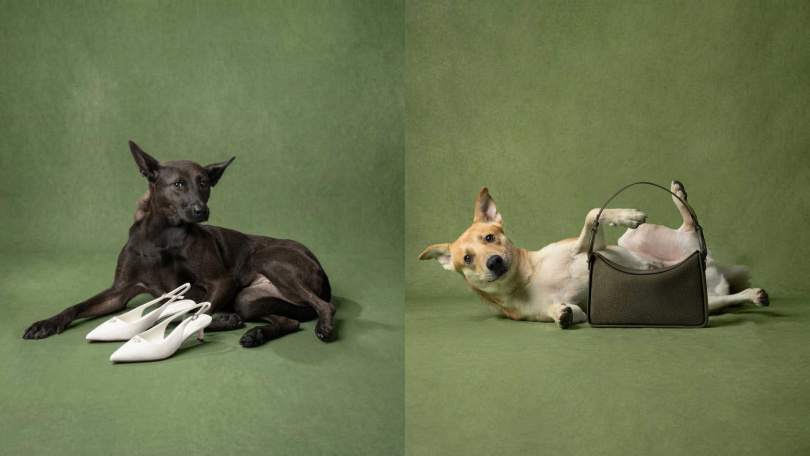 （圖／品牌提供）