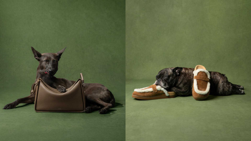 （圖／品牌提供）