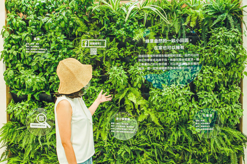 森林系文青拍照點_最適合拍出森林系文青美照的IG取景點，就在台北城市博覽會的「永續發展」區之「田園城市」植栽牆。