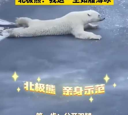 北極熊體現如履薄冰的意思。（圖／翻攝自臉書）