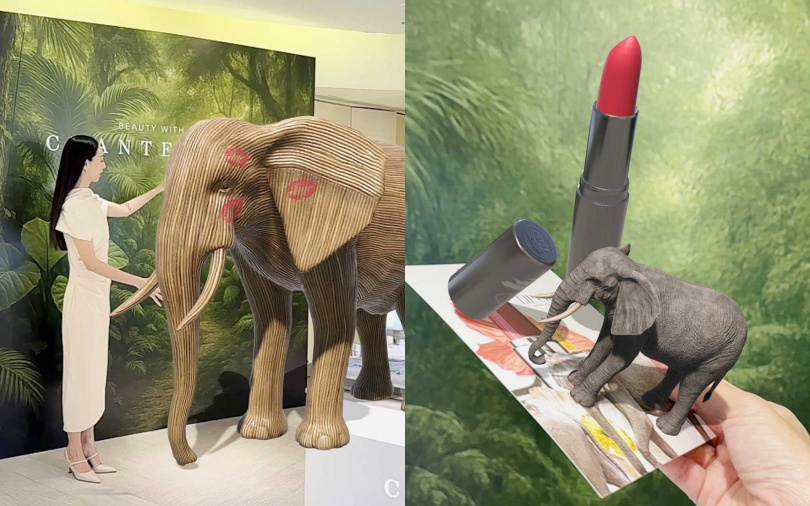 想要和牠一起拍照或是錄下互動影片都OK。（圖／吳雅鈴攝）