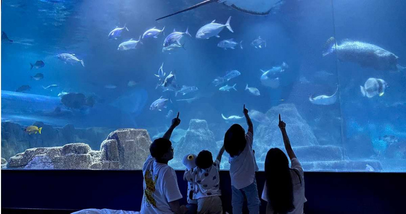 遠雄海洋公園推出夜宿與近距離海洋體驗及暢遊樂園的套票。(圖/遠雄海洋公園提供)