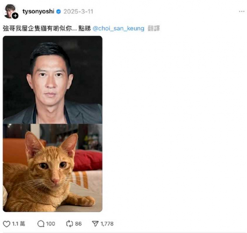 家中的忙內蛋蛋撞臉張家輝。(翻攝自Tyson Yoshi Threads)