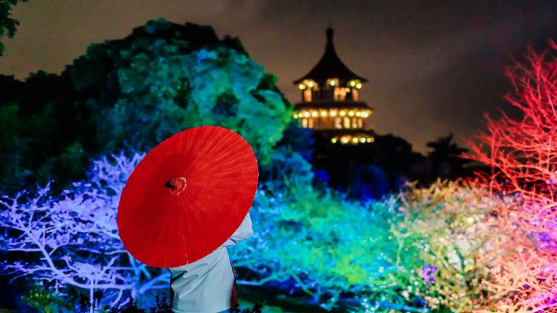 從2月5日開始，天元宮晚間還會點燈，讓賞花民眾感受夜櫻魅力。（圖／新北市景觀處提供）