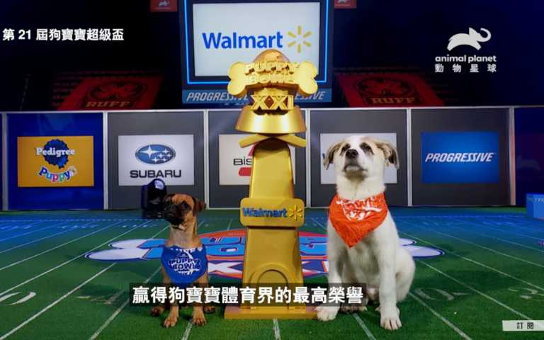 (圖/取自動物星球頻道)