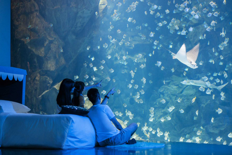 宿海奇遇Blu Night的「Blu Night島嶼夢遊」行程，入住可享一泊三食及欣賞海底世界，一張4,999元。（圖／國泰飯店觀光事業提供）