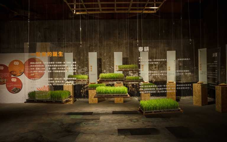 雲林農業設計展B3知稻·好米學（健康稻米主題館）。