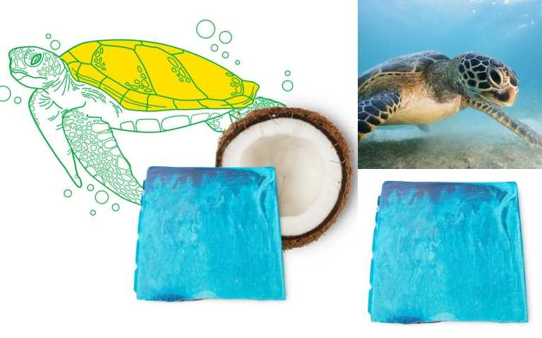 以協助保育海龜生態的有機椰子油製成的LUSH香氛皂。（圖／品牌提供）
