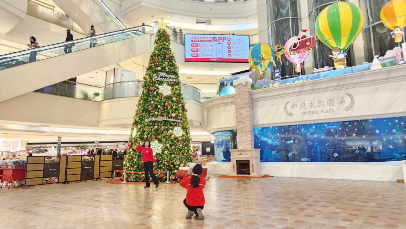 大葉高島屋在地下一樓中央水族廣場豎起了3層樓高的「星願聖誕樹」。