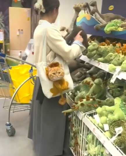 女主人帶貓咪逛IKEA，成為全場焦點。（圖／翻攝自臉書）