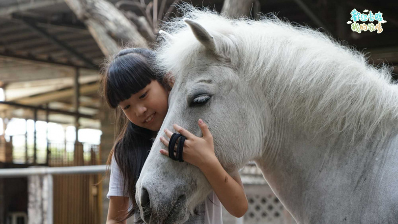 節目團隊建立許多應變機制，以適應小孩和動物的不可預測性。（圖／小公視提供）