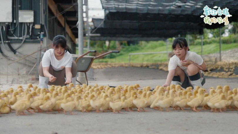 《歡迎光臨我的牧場》挑戰業界公認最難拍攝的小孩與動物。（圖／小公視提供）