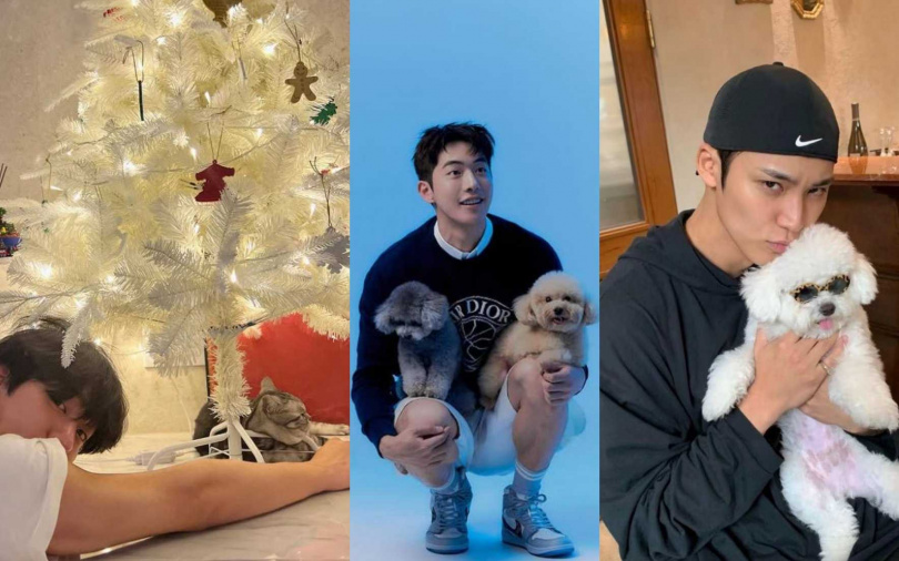 （圖／取自安孝燮IG、金旻奎IG、南柱赫IG）