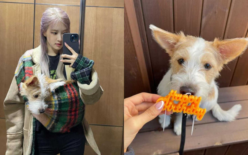 （圖／取自Hank IG）